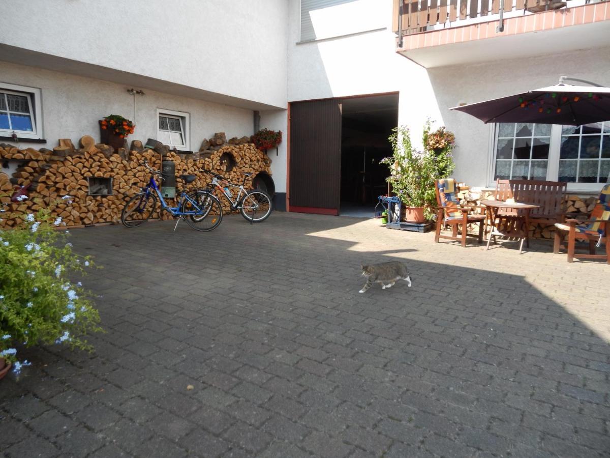 Ferienweinhaus Roemer-Knodt Krov Exterior photo