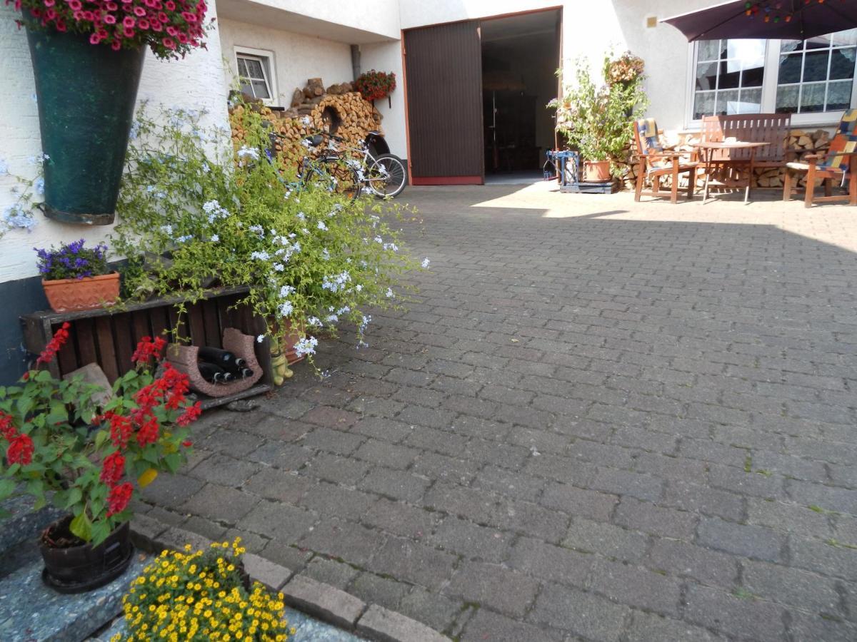 Ferienweinhaus Roemer-Knodt Krov Exterior photo